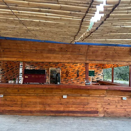 Kamp alanı Ivy Sol Borş