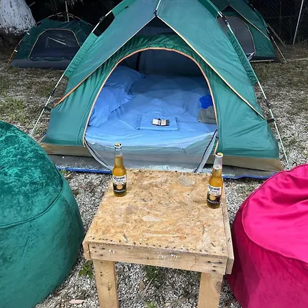 Ivy Sol Kamp alanı